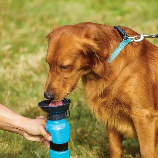 Portable Pet Water Bottle – Keep Your Pet Hydrated Anywhere 🐶💧